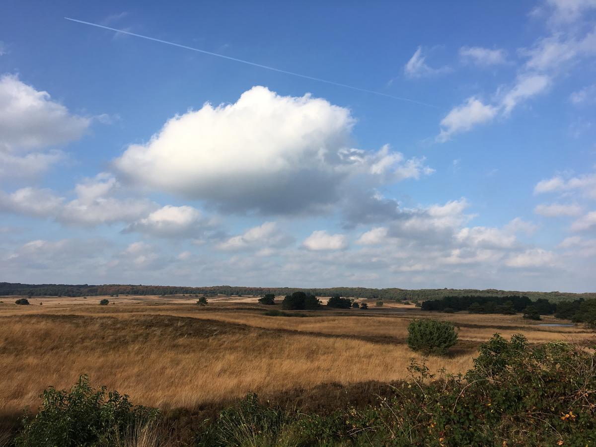 De Slaapfabriek Vakantiehuis En Trainingslocatie Teuge Luaran gambar